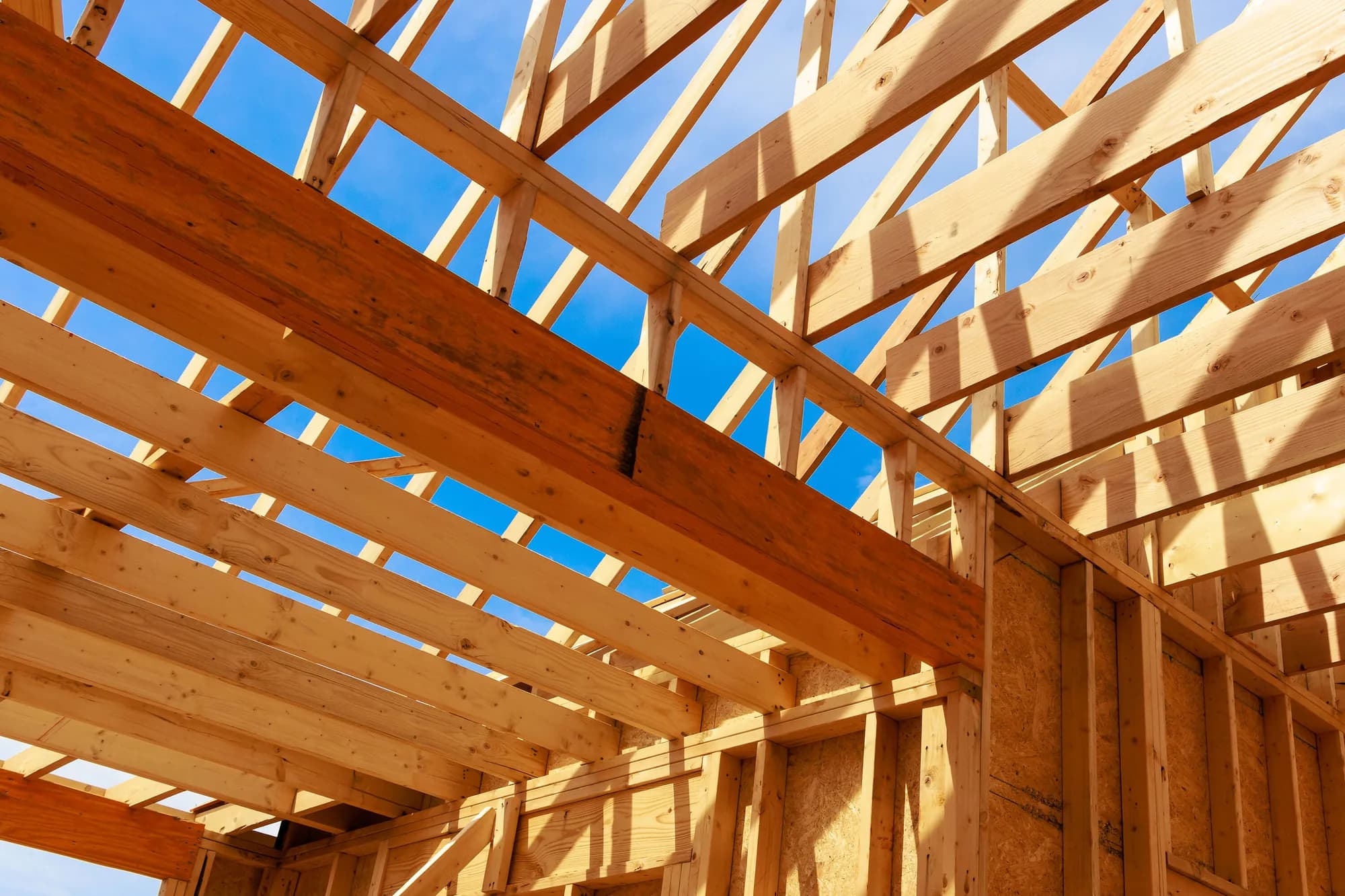 Charpente de maison en bois d’épinette vue de l’intérieur : chevrons, solives et colombages neufs contre un ciel bleu, avec le revêtement en OSB posé sur le mur.